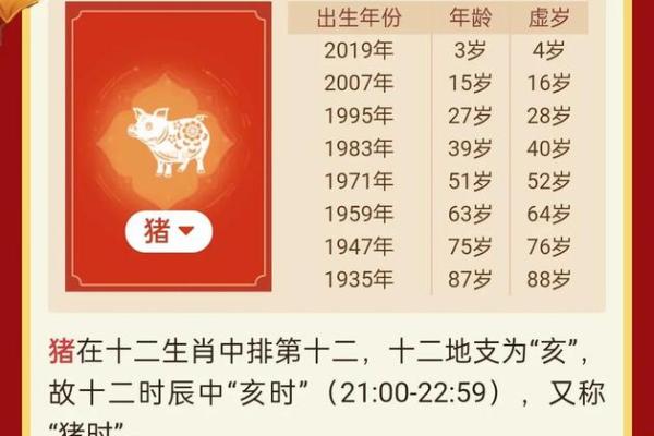属猪人的命与运势：解析属猪的性格与未来趋势