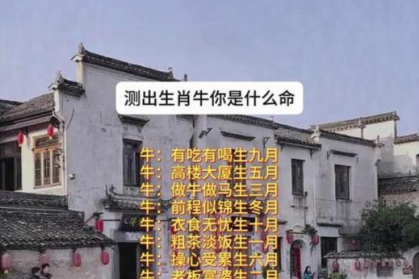 73年牛命解析：缺什么，如何弥补人生运势？