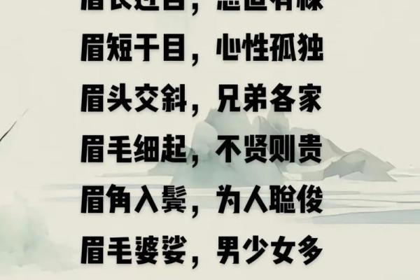 道家的命理智慧：探寻人生命运的奥秘与启示