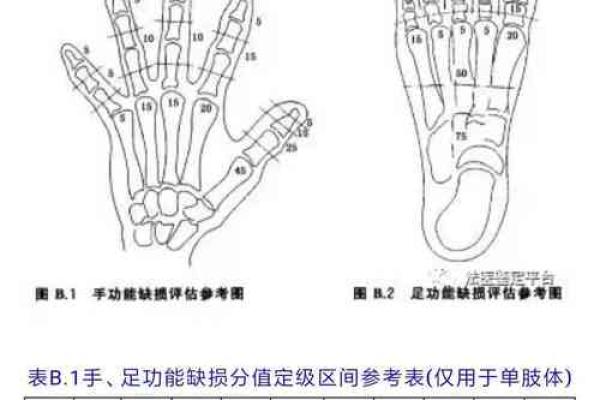 手骨节特别软的人命运解析：细腻与坚韧交织的生活轨迹
