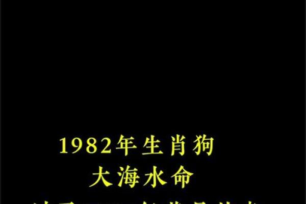 82年属狗的人：独特命理与性格解析