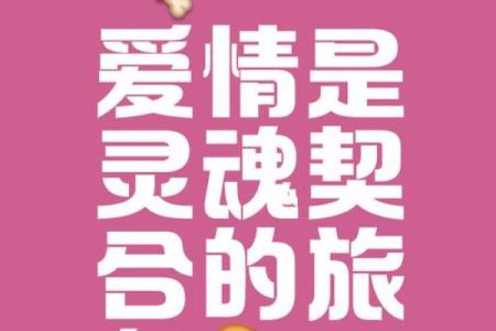 爱情是什么命运的交响曲，细腻而美丽的灵魂旅程