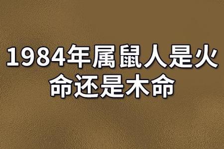 1936年鼠年：命运与运势的独特探究