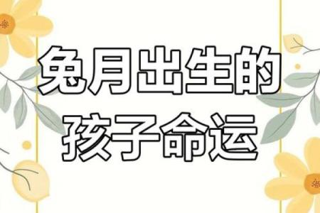 2011年兔年出生的命运与个性解析：情感丰富的兔儿们