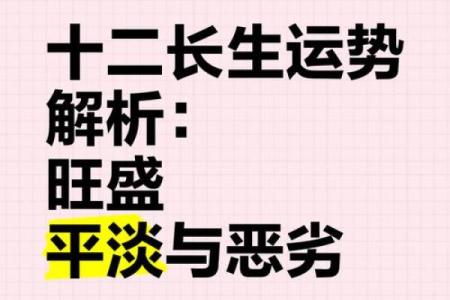 火牛命解析：怎样选择植物与颜色让你的运势更加旺盛？