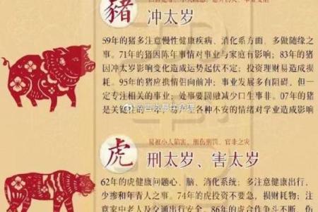 1995年寅时出生的命理解析与人生启示
