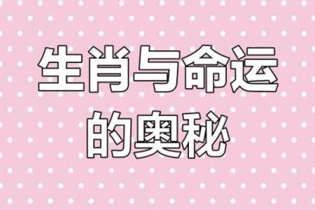 70岁属什么生肖与命运揭示：揭秘人生的关键转折点
