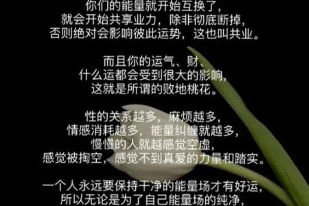 了解人强命不强：命与人的关系探析