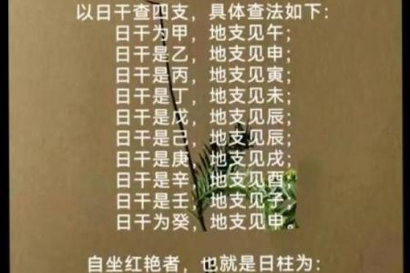 揭开水龙命的神秘面纱：命理中的独特象征与人生价值