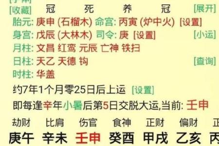 辛酉年丁酉月命理解析：探寻命运的奥秘与人生的方向