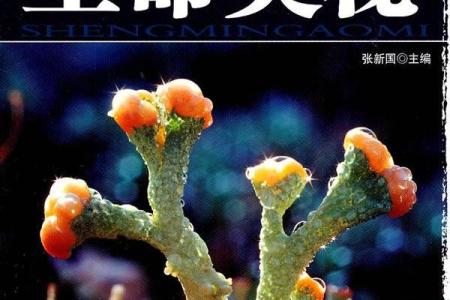 探索名字的奥秘：解析十六画的命运特征与内涵