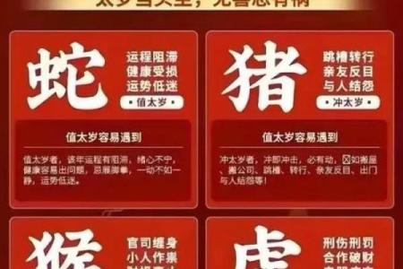固定命盘指示什么生肖？解锁你的命运之钥！
