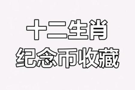 2023兔年属什么命：探寻兔年的五行与命理奥秘
