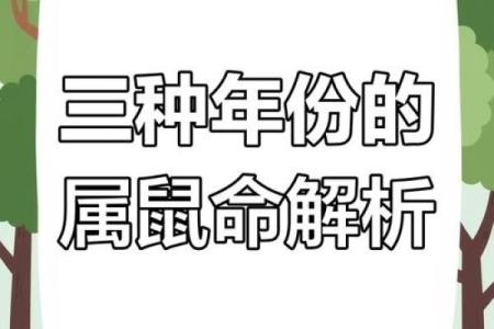 1984年属鼠的命运分析：从易经看人生运势的变化