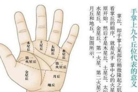 左手戴手镯的女人命运：象征与运势的探秘