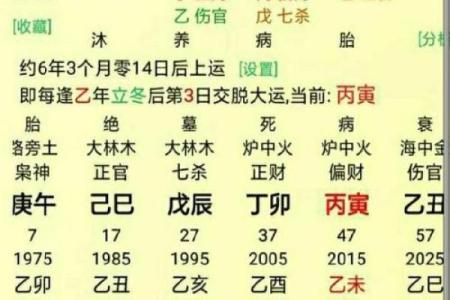 探秘命理：如何通过生辰八字了解你的命运与人生轨迹