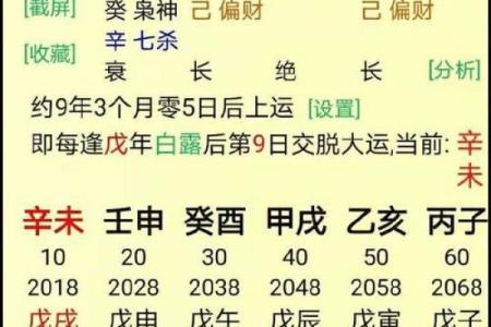 算命与命运：解读什么是“干净命”的深層含义