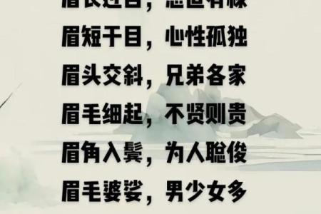 道家的命理智慧：探寻人生命运的奥秘与启示