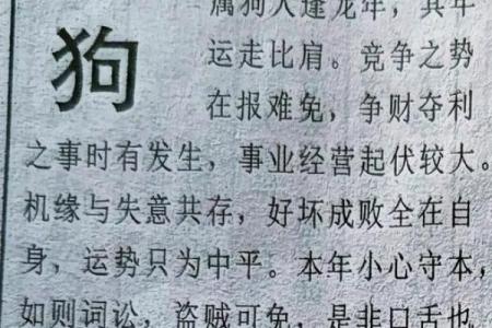 74虚岁属狗的人生运势与命理解析