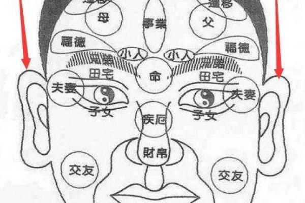 富贵命短的面相探讨：如何通过面相判断人生运势