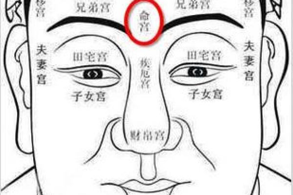 额头形状与命运：探秘脸相中的智慧与关照