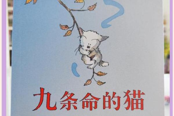 猫有九命的谜题与人类生命的思考