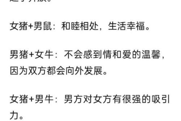 属猪的人在2023年的运势解析与命理深度剖析