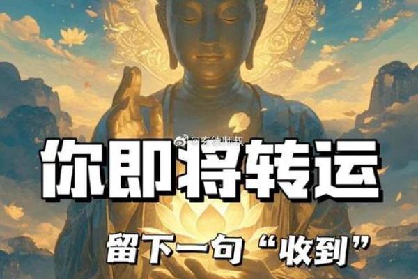 算卦的智慧：不仅可以算命，更能揭示人生的无限可能