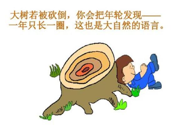 1991年命运之轮：转折与机遇的年轮故事