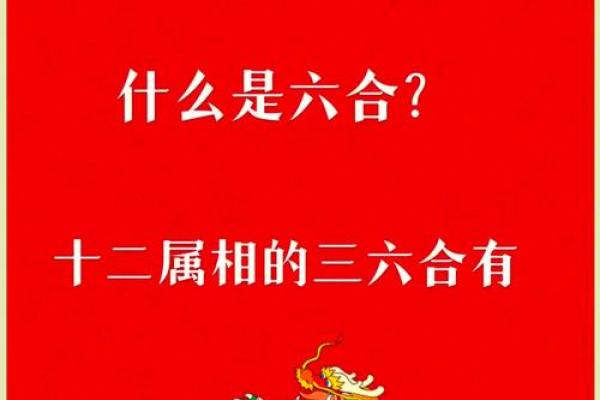 探秘六合命与三合命：揭开命理学的神秘面纱