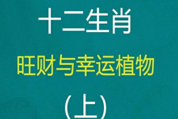 96年属鼠的人：你命中注定的人生与未来