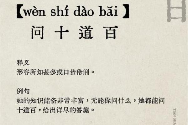 探索“什么足什么命”的成语：智慧与人生的交汇点