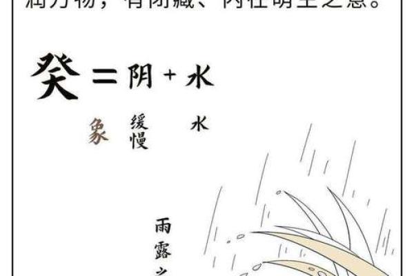 水命八字解析：寻求最吉利的命理秘诀