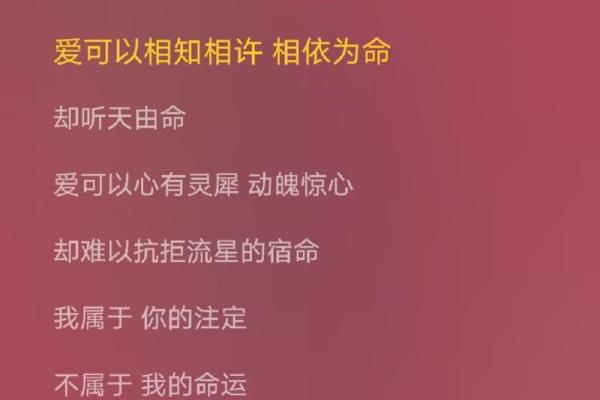 邂逅命运的旋律：探析《命硬》歌词中的生命哲学