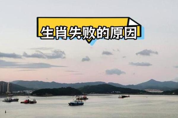 探寻威命的深意：生肖与命运的秘密连接