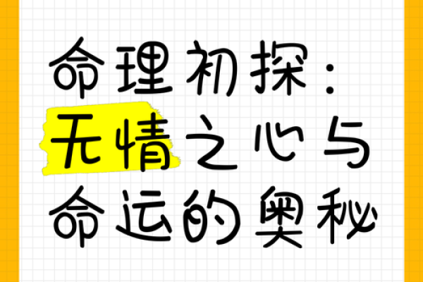 未命人：寻找自我归属与内心平和的旅程
