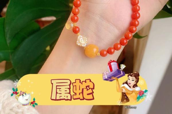 属蛇命适合佩戴的饰品与寓意探究：点亮你的生活与运势