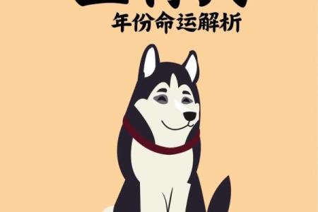 2004属猴命：聪明灵活的猴子带来的命运解析