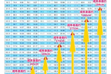 2023年出生的宝宝命缺什么？家长必看特征解析！