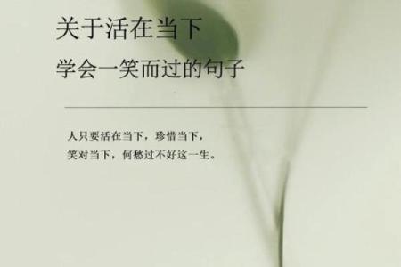 生命如命，珍惜每个当下，活出精彩人生