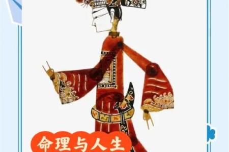 探秘命理：一妻一妾命的真实含义与人生启示