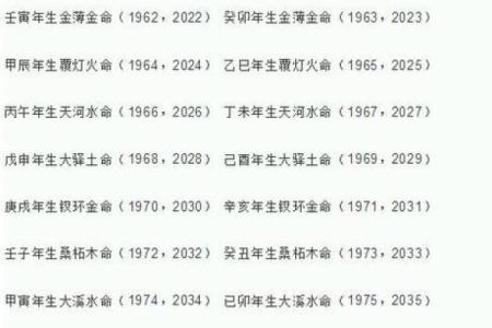 1981年子时命理解析：探秘命运背后的奥秘与启示