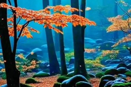 2023年10月：秋意渐浓，感受季节变换的魅力与美好