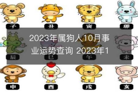 1994年属狗的命理解析：缺什么、需注意的生活指南