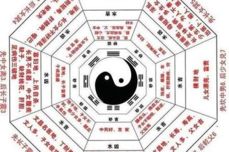 探索51岁属猪之命格：如何提升运势与幸福感