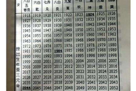 81岁属什么命：解读2023年的命理奥秘与生活智慧