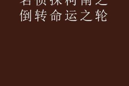 1991年命运之轮：转折与机遇的年轮故事