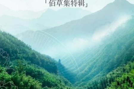 一草一木的命运哲学：走进自然的智慧与启示
