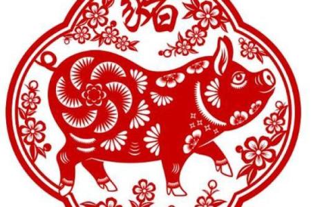 1985年属猪的命理解析：好运与挑战并存的人生旅程