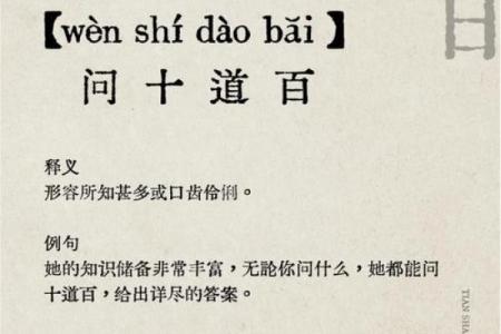 探索“什么足什么命”的成语：智慧与人生的交汇点
